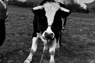 Krajina ve stínu česko-německého soužití. Bohdan Sláma natáčí svůj první historický film