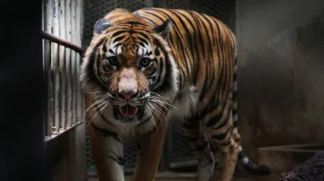 Ilustrační fotografie