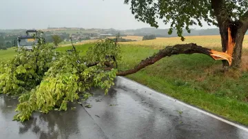 Strom na vozovce ve Středočeském kraji po pondělních bouřkách