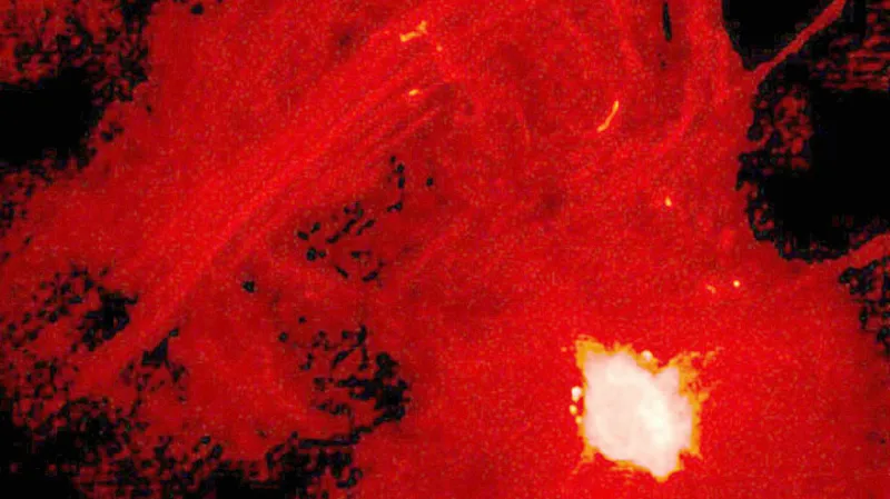 Černá díra ve vesmíru