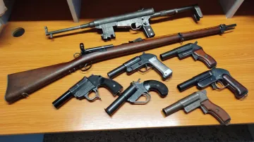 Zbraně odevzdané v rámci Zbraňové amnestie