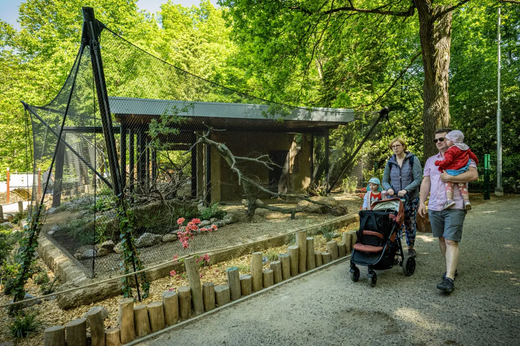 Liberecká zoo otevírá pavilon pro novozélandské papoušky nestory