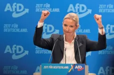 Sjezd AfD provázely protesty. Na volby se chystají i CDU a SPD