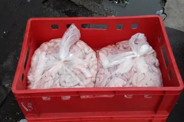 Veterináři v Sapě našli auto s 210 kilogramy nechlazených vepřových vnitřností