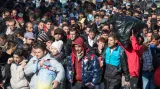 Zpravodaj v Německu: Úřady zatím s větší vlnou deportací nezačaly