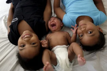 Je zika hrozbou pro Čechy? Pozor si musí dávat jen turisté, říká parazitolog