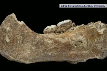 Nalezená čelist překvapila vědce. Prokázala, že předchůdci lidí žili ve vysokých nadmořských výškách