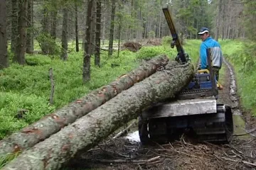 Lesy ČR si vysloužily pokutu za diskriminaci dodavatele