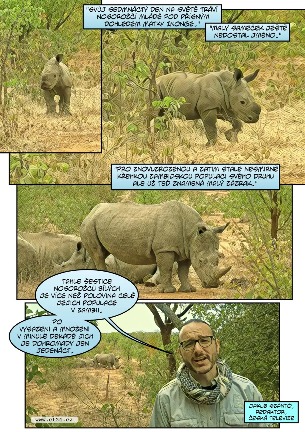Návrat nosorožců do přírody