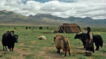 Tradiční způsob života Tibeťanů