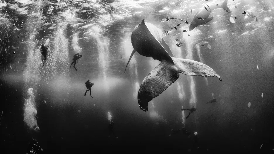 Vítězové fotografické soutěže National Geographic Traveler 2015