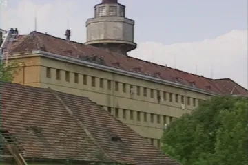 30 let zpět: Vězeňské experimenty s nevinou