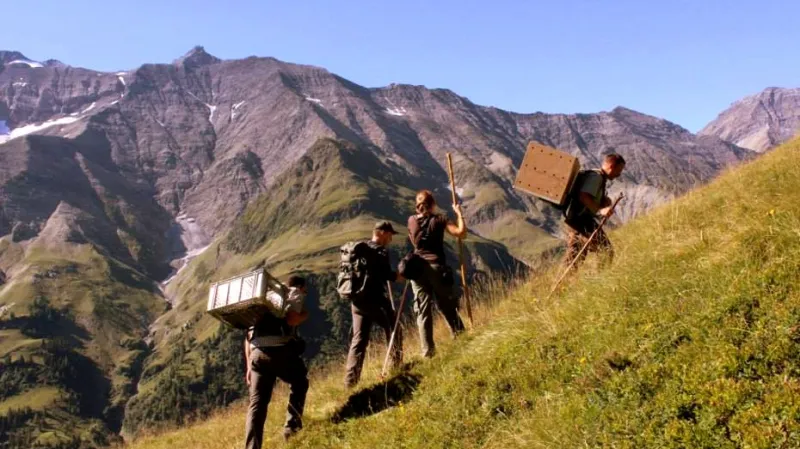 Zoologové vynášejí Bernd do vysokých hor