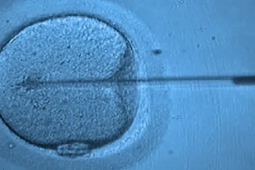 Polská města podporují umělé oplodnění. Státní program neexistuje, vláda prosazuje alternativní léčbu