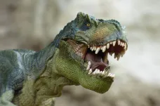 Vymření dinosaurů měl na svědomí i úhel dopadu meteoritu, ukázala studie