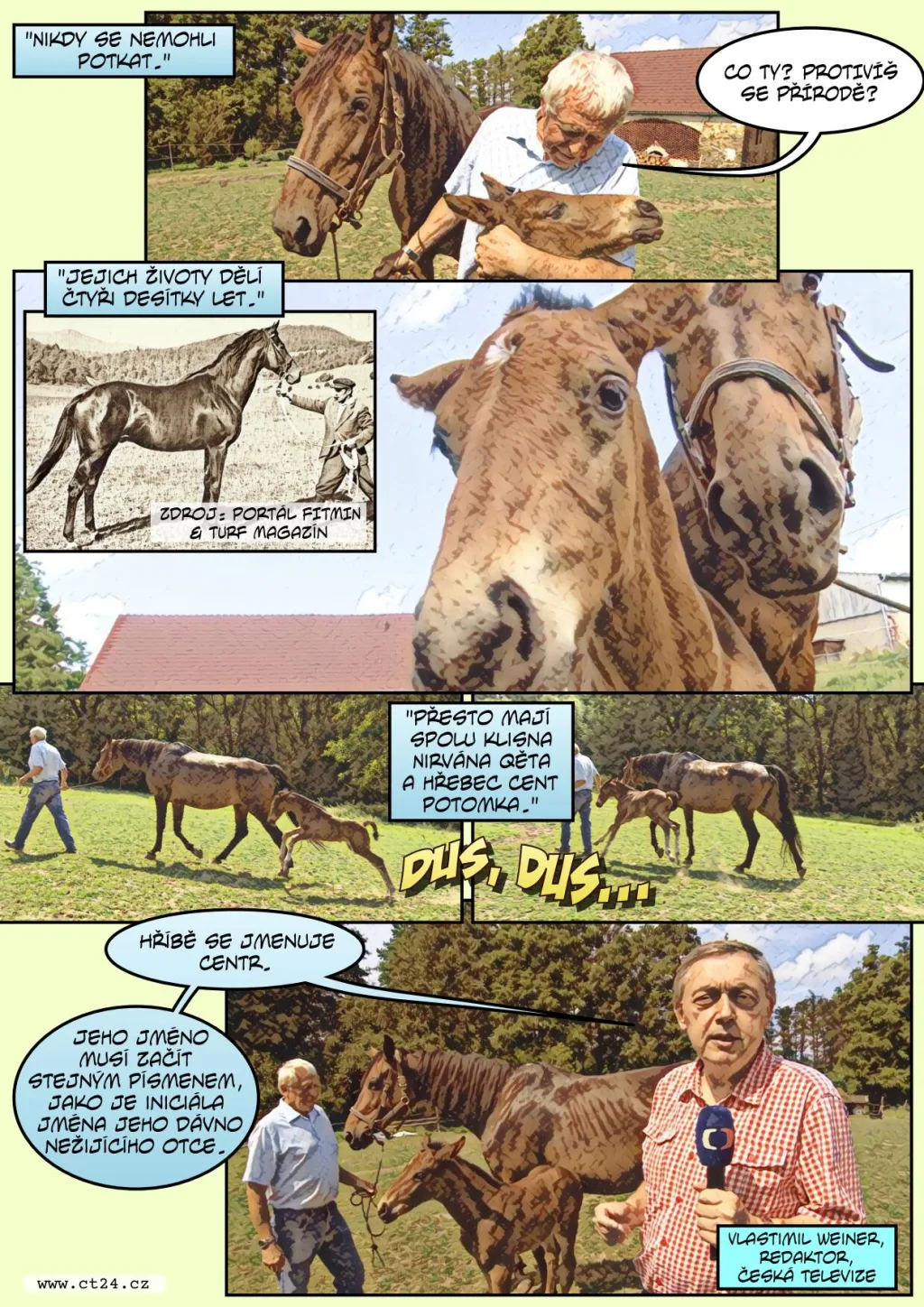 Chovatel koní přivedl na svět hříbě, jehož otec už 40 let nežije. Posunul tím hranice reprodukce