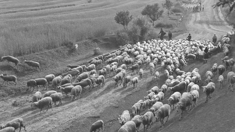 Z výstavy Ferdinand Bučina: Vzpomínka na Javorník