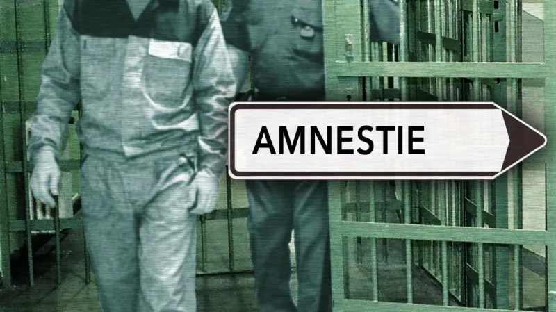 Amnestie