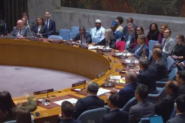 Rada bezpečnosti OSN souhlasila s vysláním mezinárodních bezpečnostních sil do Gazy