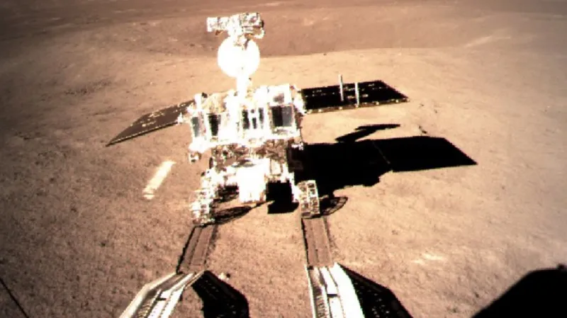 Nefritový králík 2