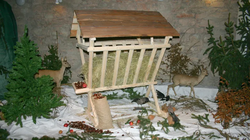 Vánoce v přírodě