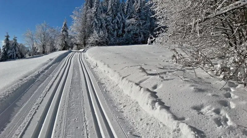 Běžecká stopa na Šumavě
