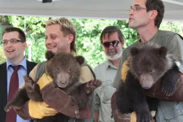 Brněnská zoo pokřtila medvíďata, jmenují se Toby a Kuba