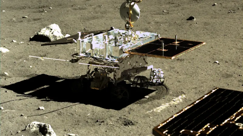 Nefritový králík na snímku z prosince 2013.