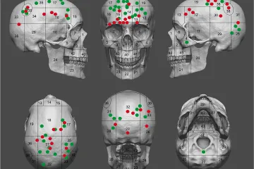 První válka v Evropě proběhla ve Španělsku. Trvala celé měsíce, ukazují kosti