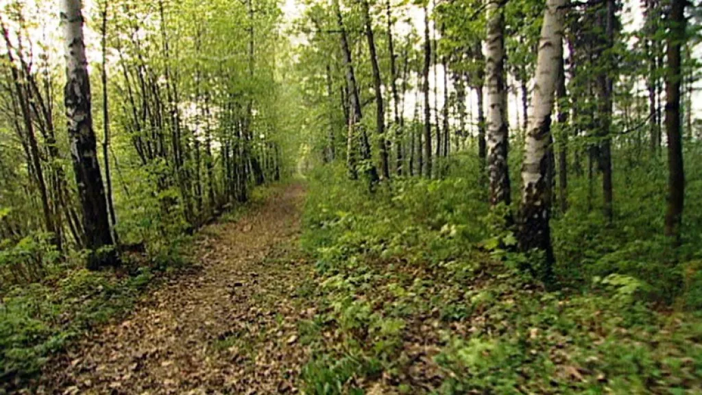 Krajina Máje