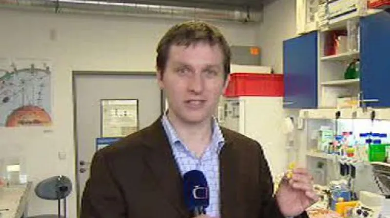 Reportáž Vladimíra Kořena