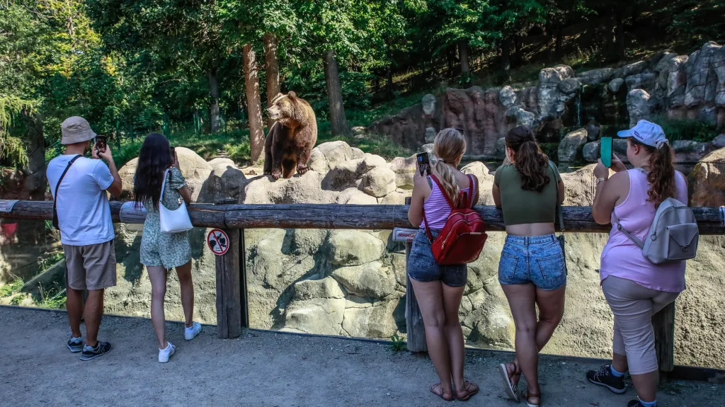 Zoo Brno slaví výročí 70. let od svého vzniku
