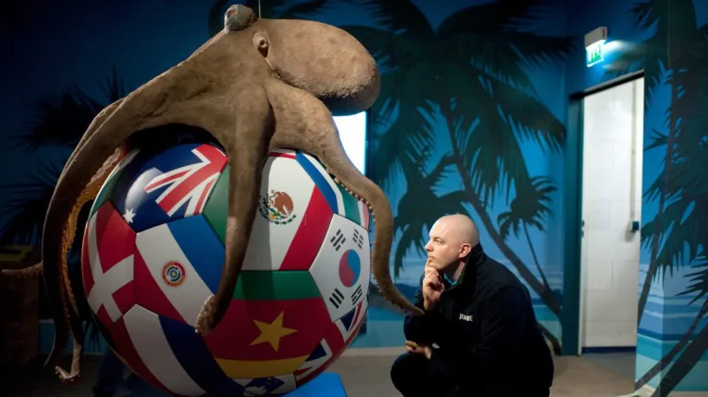 Chobotnice Paul má svůj pomník