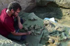 Archeologové zkoumají v Dolních Věstonicích skládku mamutích kostí objevenou před 56 lety
