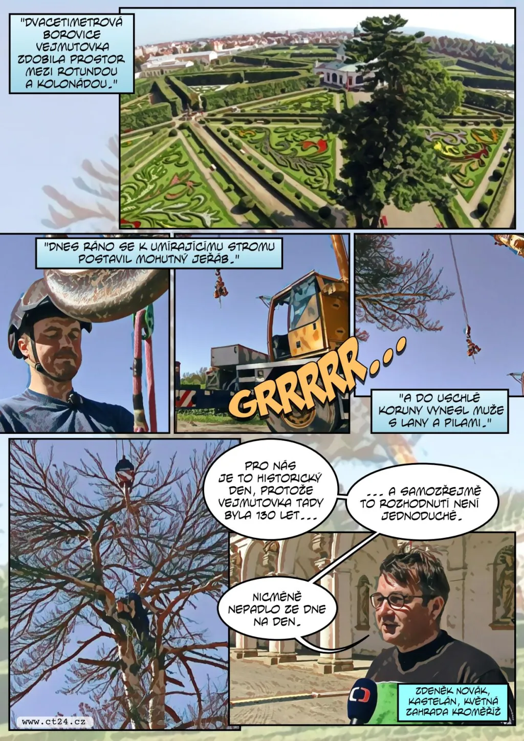 Pokáceli staletý strom v Kroměříži