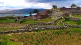 Jezero Titicaca