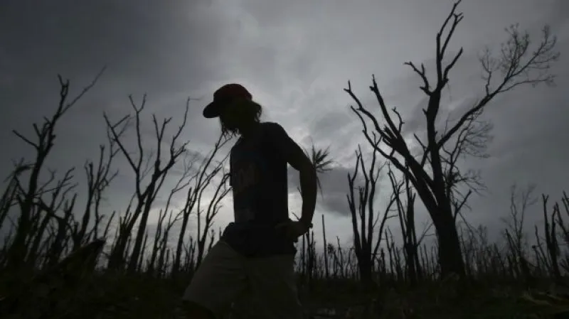 Telefonát Roberta Mikoláše