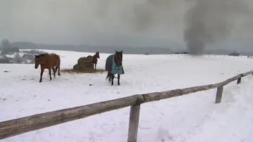Natáčení seriálu Znamení koně
