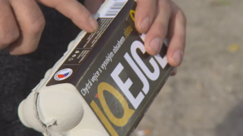 V Pohořelicích už salmonela nehrozí