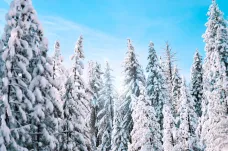 Krkonošské hřebeny pokryl sníh, poprvé po létě sněžilo i v Jeseníkách