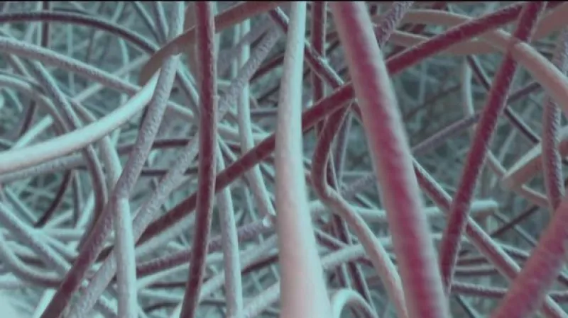 Reportáž Martina Ruska