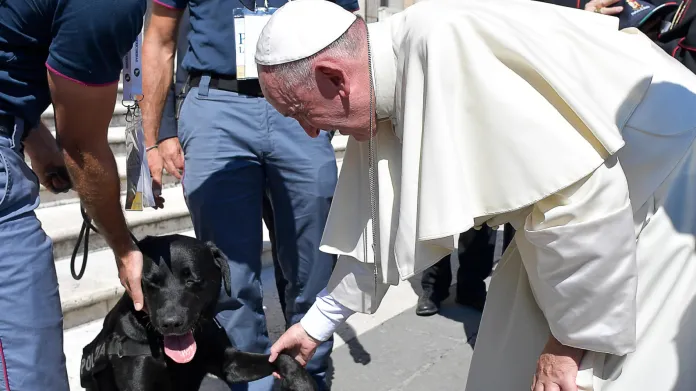 Papež František s labradorem Leem