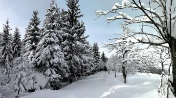 Zima v Krušných horách