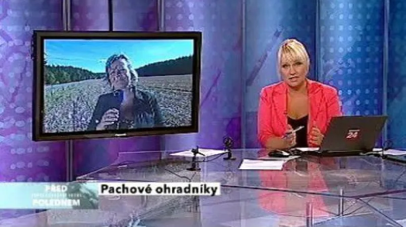 Vstup Blanky Poulové