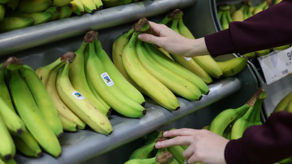 Svého času kolovaly i mýty o unijní regulaci tvaru banánů