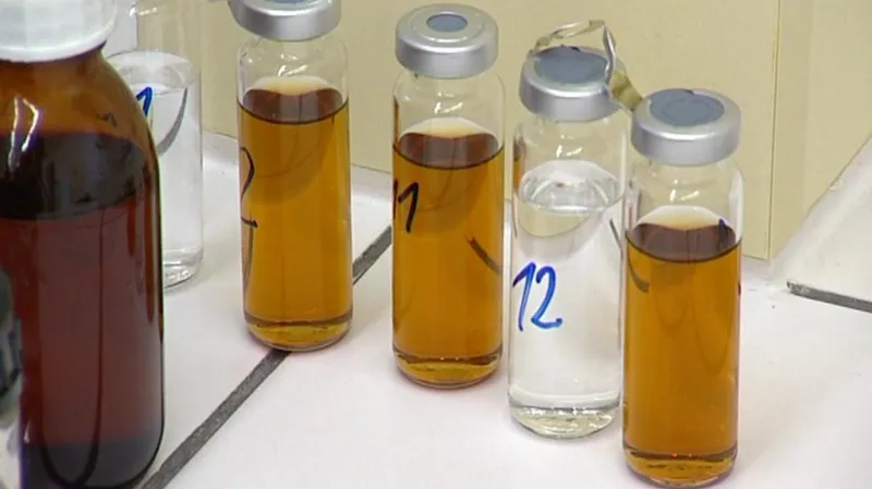 Kontrola vzorků v laboratoři