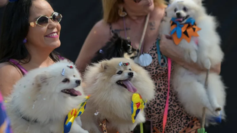 Festival Blocao v Riu de Janeiru