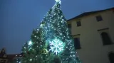 Vánoční strom na Jiřském náměstí Pražského hradu