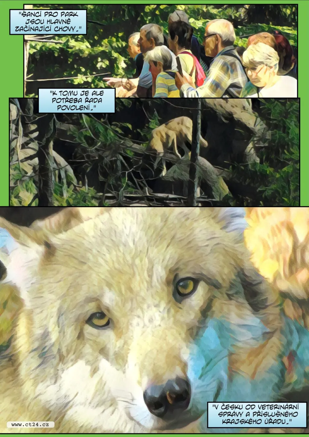 Komiks: Řízený chov vlků na Šumavě