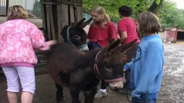 Oslice Rebeka pomáhá dětem
